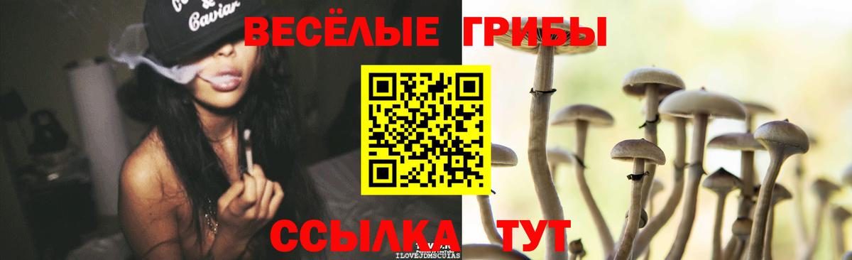 Псилоцибиновые грибы GOLDEN TEACHER  Вход с VPN  Спасск-Дальний 